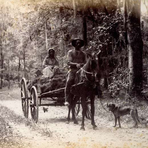 A black and white photograph of two people, a horse, and a dog. In the foreground, there is a dark-skinned man wearing a black hat and riding a black horse. He is holding the leash of a dog, who is standing to the right of the horse. The horse is pulling a cart, where a woman is riding on a pile of Spanish moss. The woman has dark skin and is wearing a white dress and head covering. Both people are looking directly at the camera.